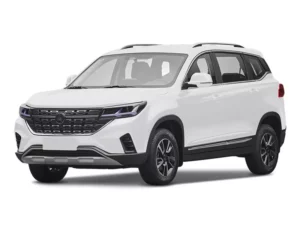 Forthing T5